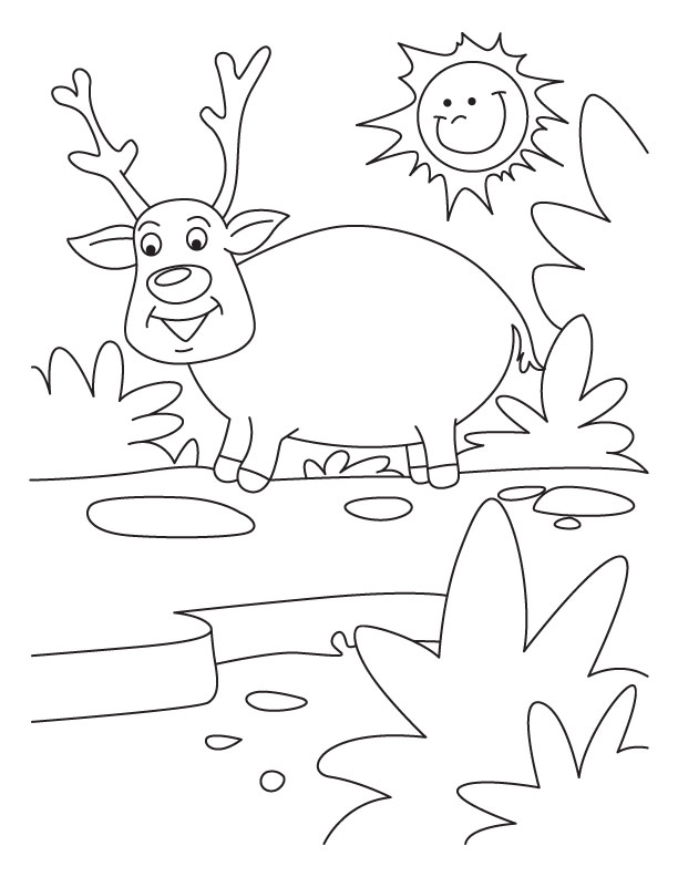 Kolorowanka Renifer do Druku - Kreatywna Zabawa dla Dzieci kolorowanka do druku